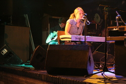 Brown Feather Sparrow